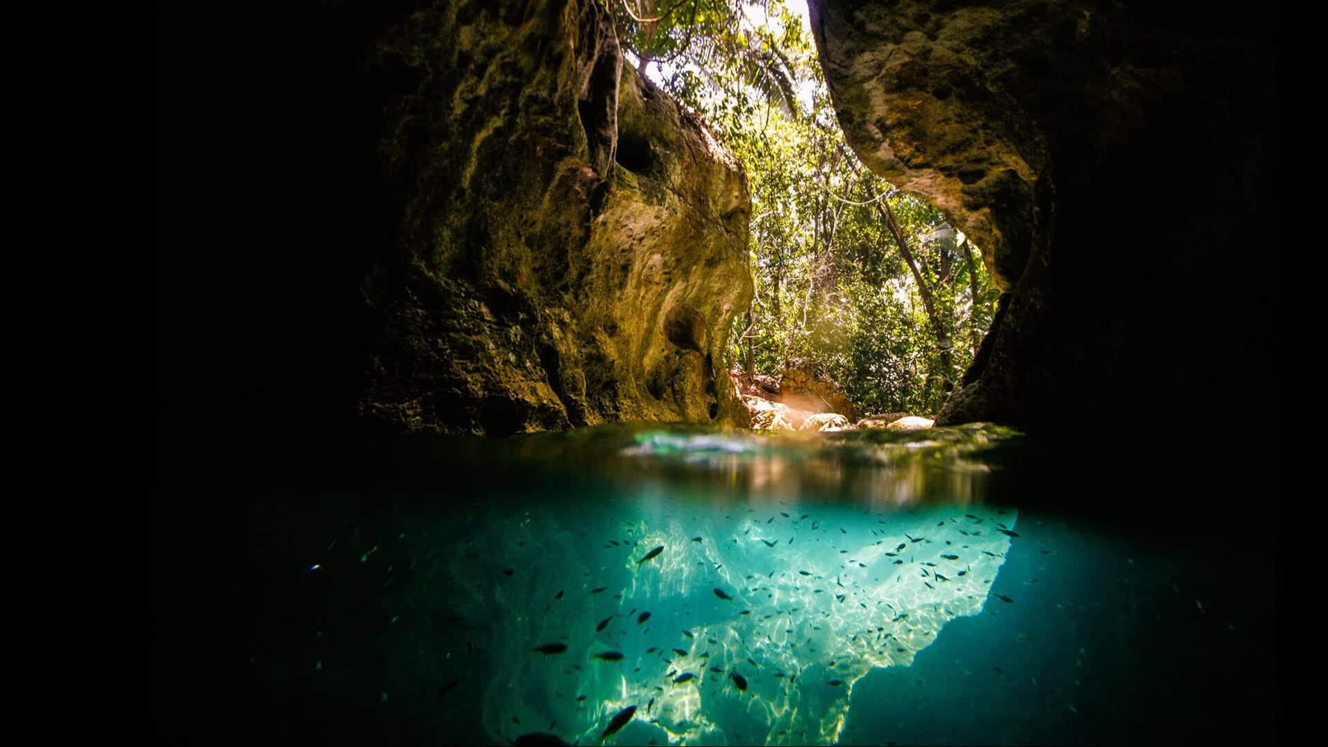 智能农业例子简短总结(智能农业可以运用到哪些场景)