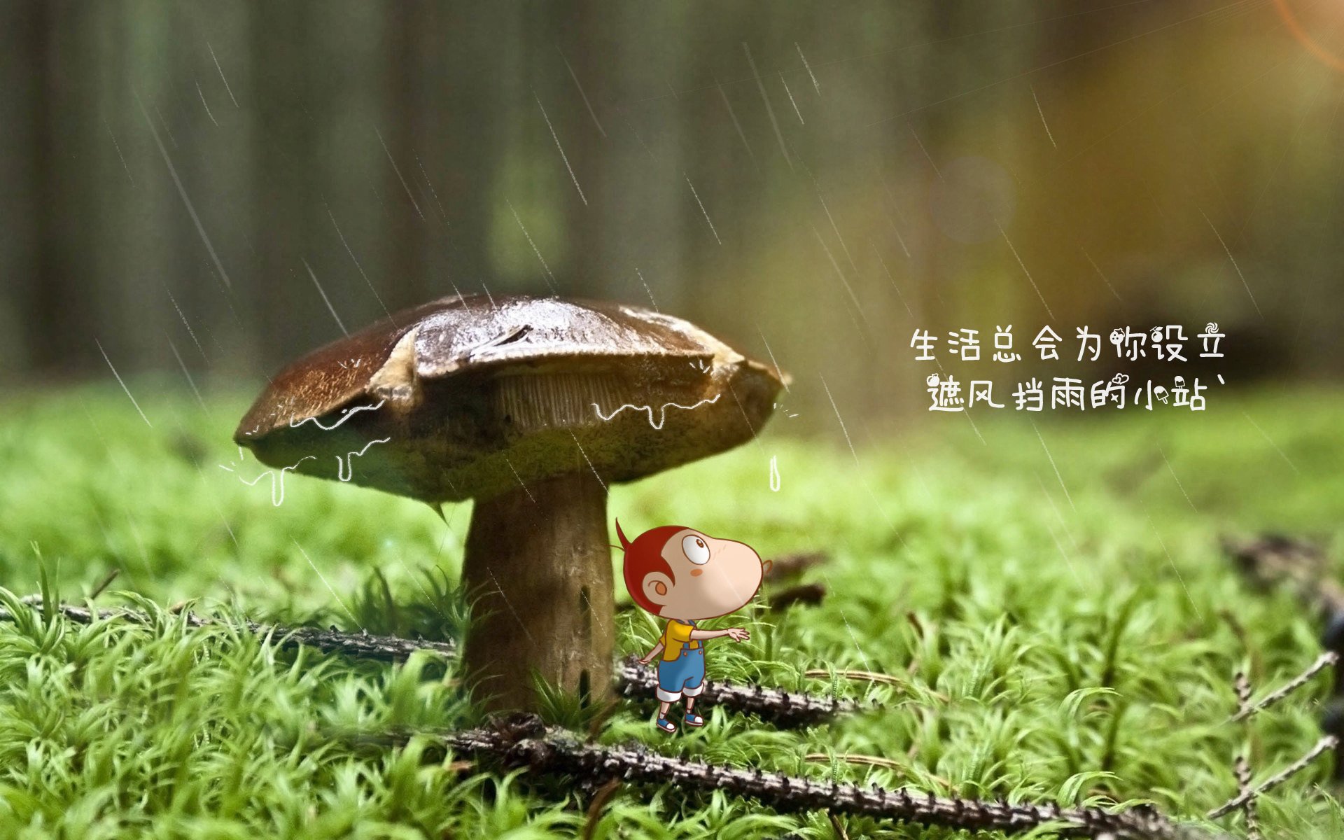 喷灌设备农业灌溉怎么安装施工(农用喷灌设备)