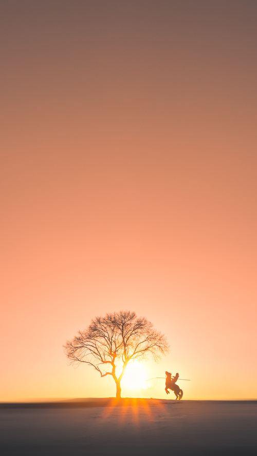 农业灌溉解决方案有哪些内容呢(灌溉农业解决措施)